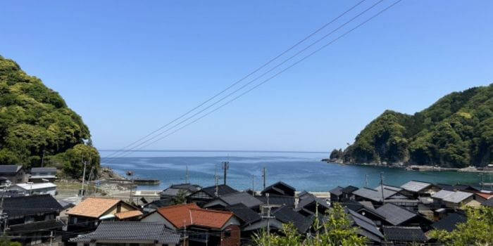 沿岸部