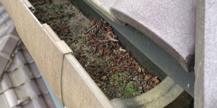 枯れ葉の詰まり