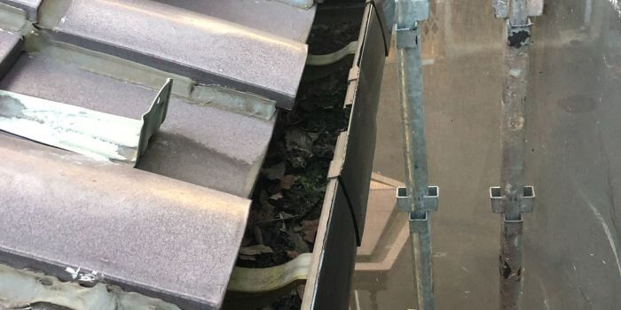 ゴミや落ち葉の取り除き