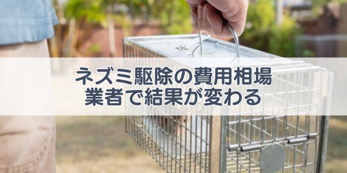 ネズミ　駆除　費用　相場