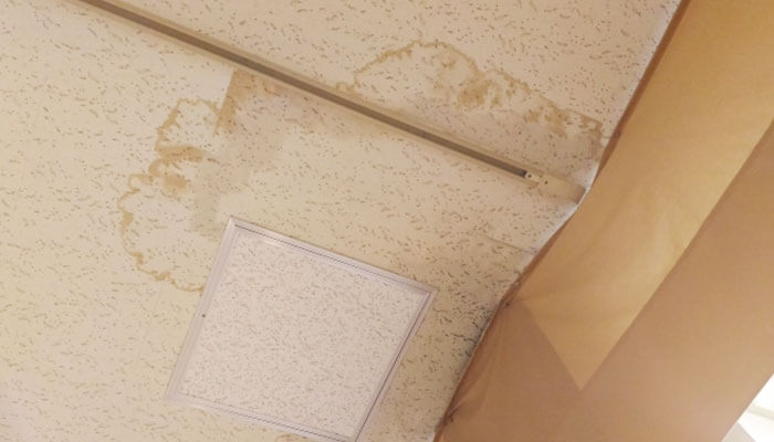 天井にシミがある様子
