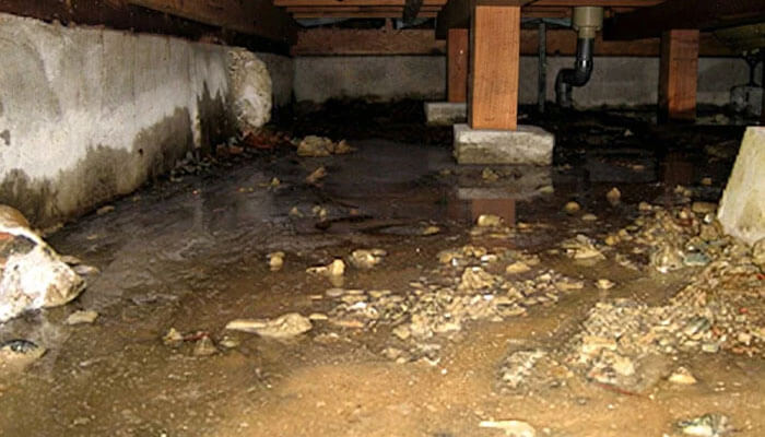 床下浸水が起きている様子